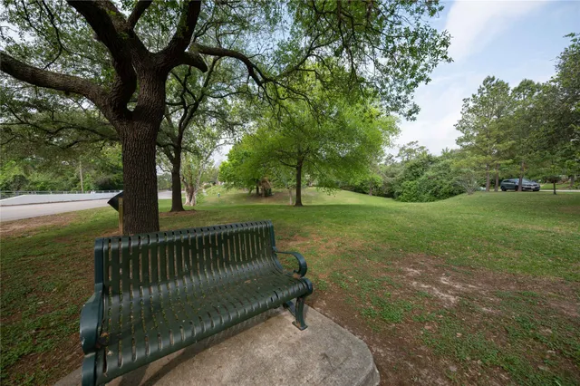 a view of a park with large trees