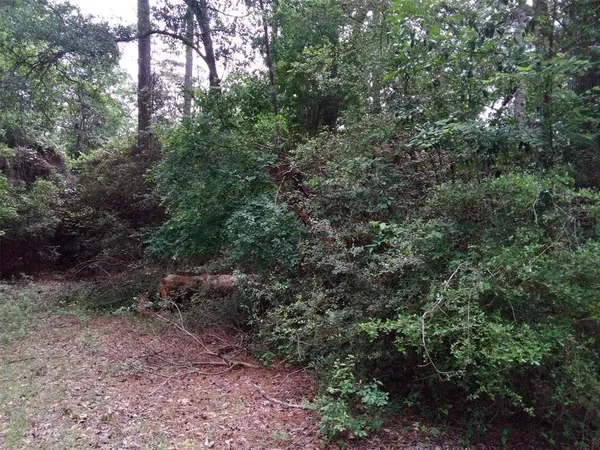 $13,521 | Lot 21 Gnu Street, Onalaska, TX 77360