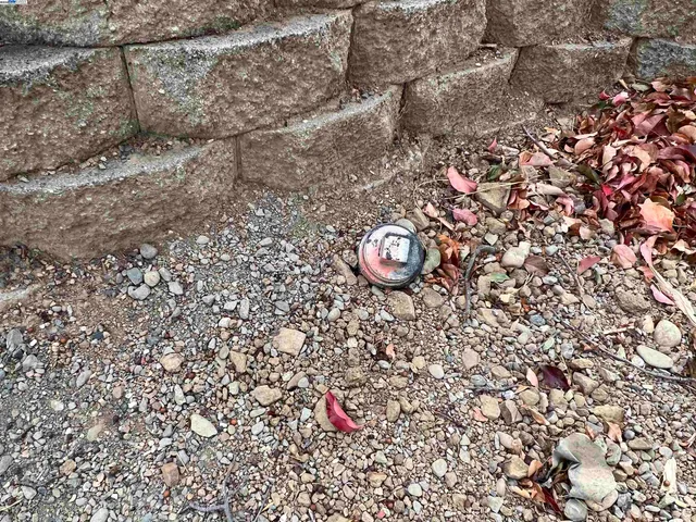 a view of yard covered with snow