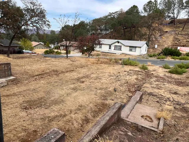 a view of a white house next to a yard with a large tree