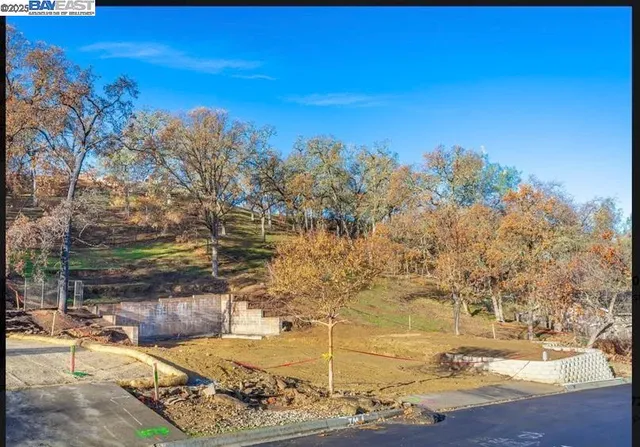 a view of a yard with an outdoor space