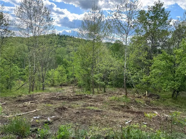 $7,500 | 208 Easy Street, Freeport, OH 43973