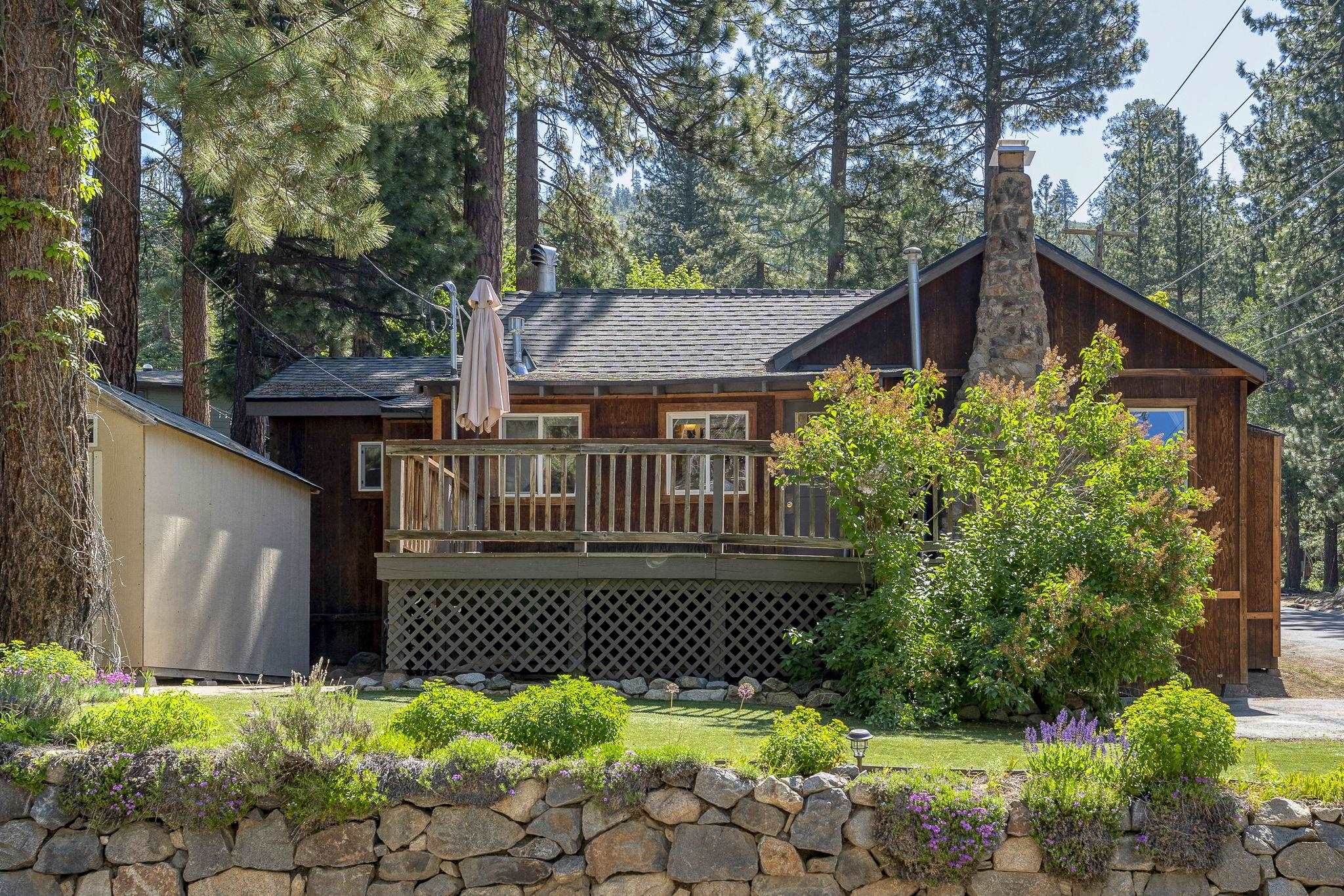 a view of a house with a small yard plants and large tree