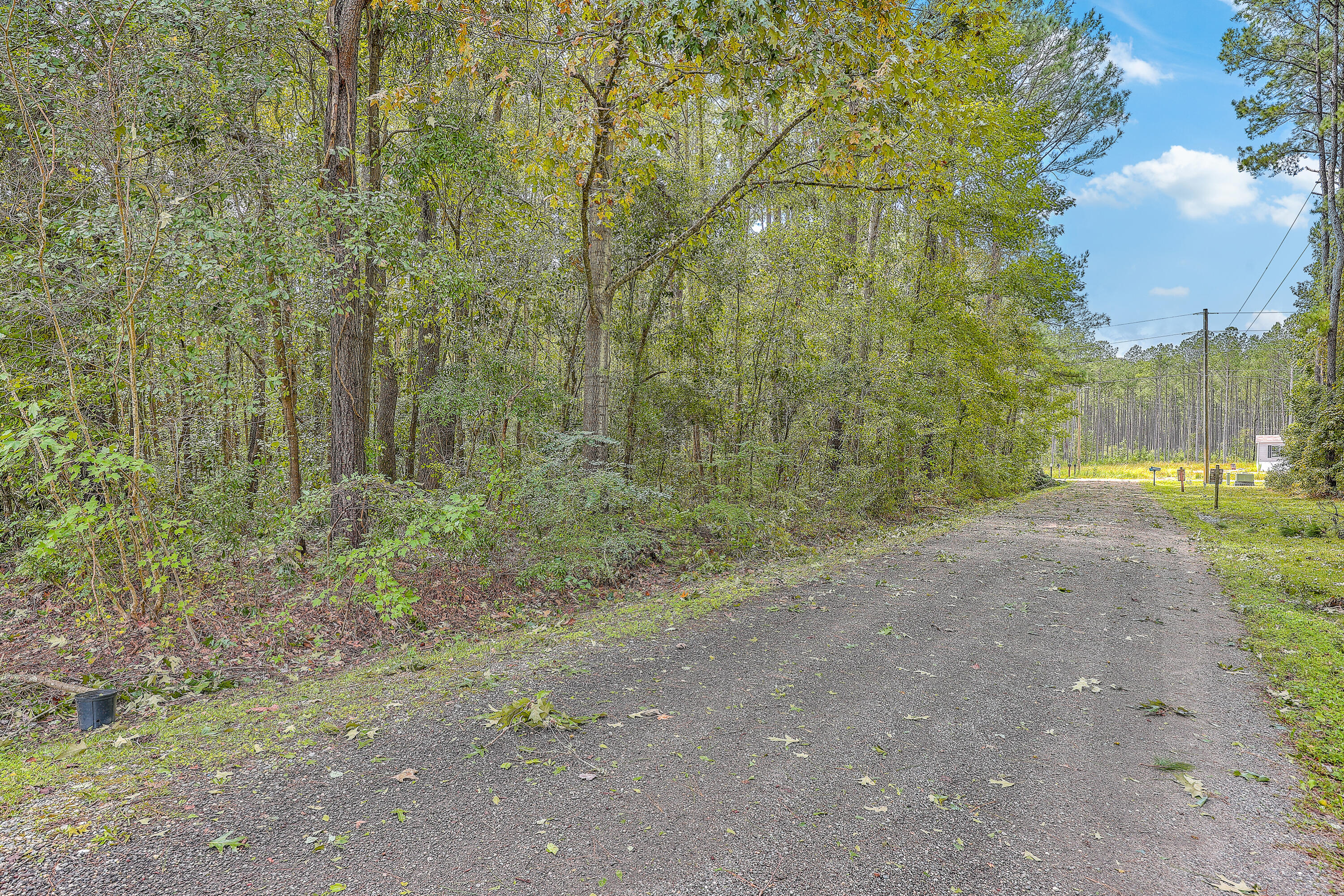 319 Disabled Lane Moncks Corner, SC 29461 - Photo 18 of 53 ZYN_9555_56_57_58_59_60_61