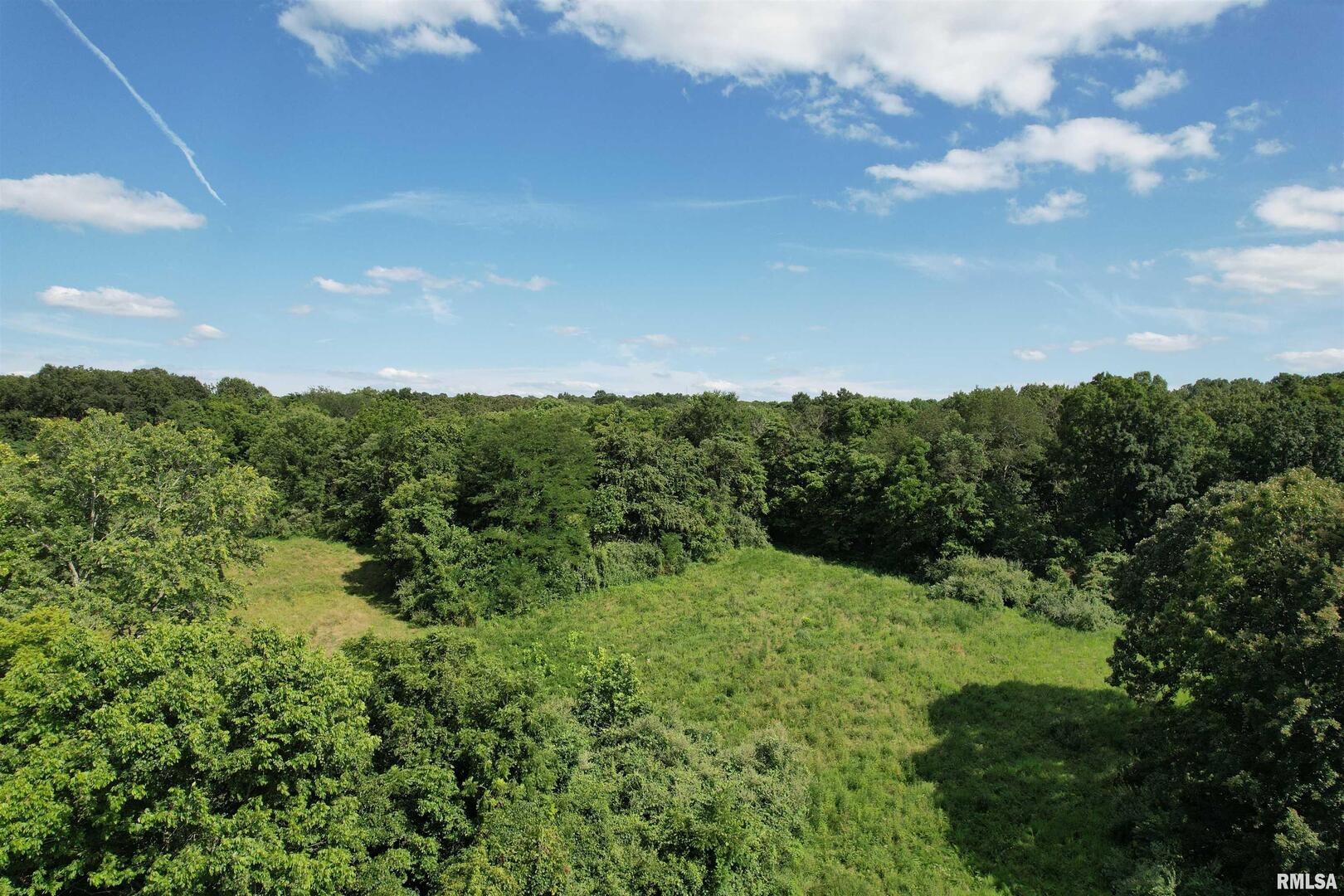 0 Shawnee Hollow Road Elizabethtown, IL 62931 - Photo 1 of 36 a view of a green field with lots of bushes