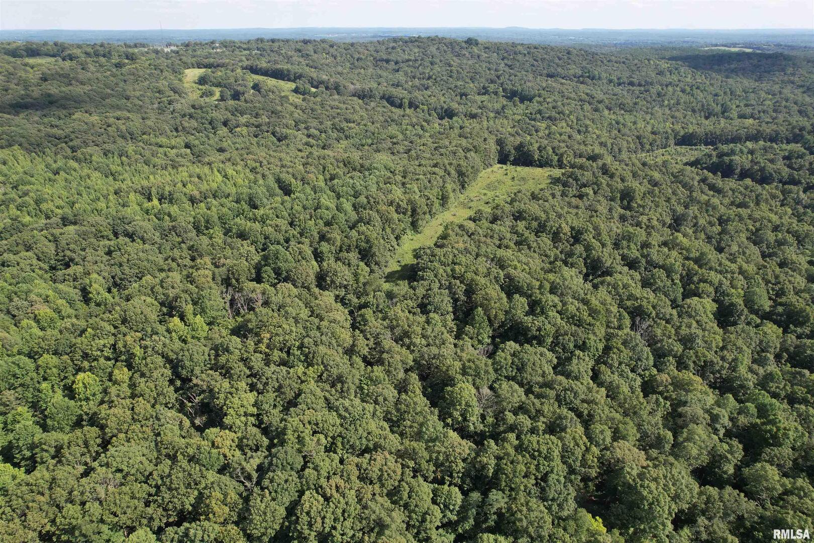 0 Shawnee Hollow Road Elizabethtown, IL 62931 - Photo 11 of 36 an aerial view of forest