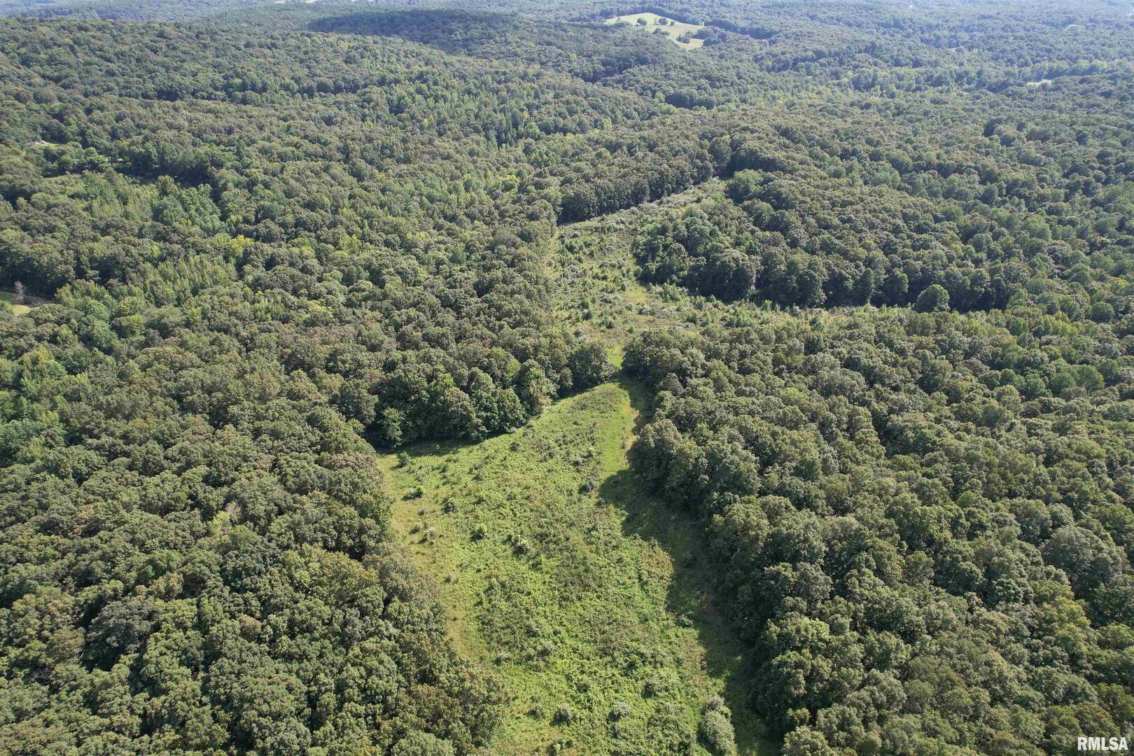 0 Shawnee Hollow Road Elizabethtown, IL 62931 - Photo 15 of 36 a view of a forest with a building