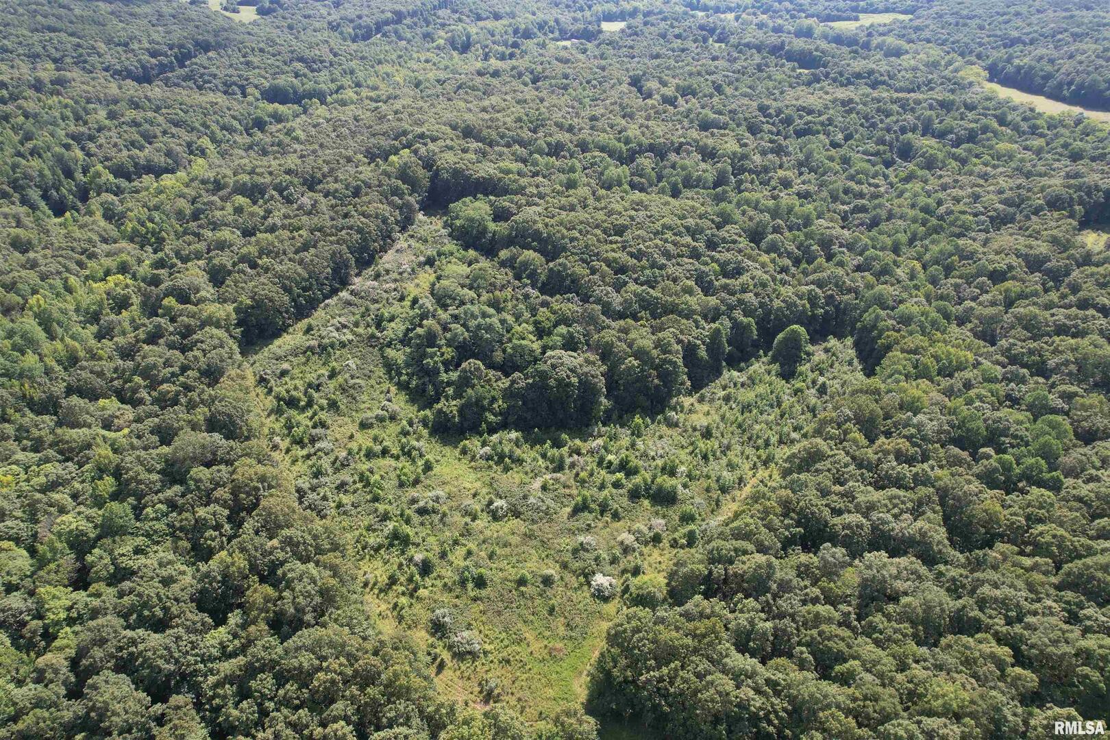0 Shawnee Hollow Road Elizabethtown, IL 62931 - Photo 16 of 36 a view of a forest with a building