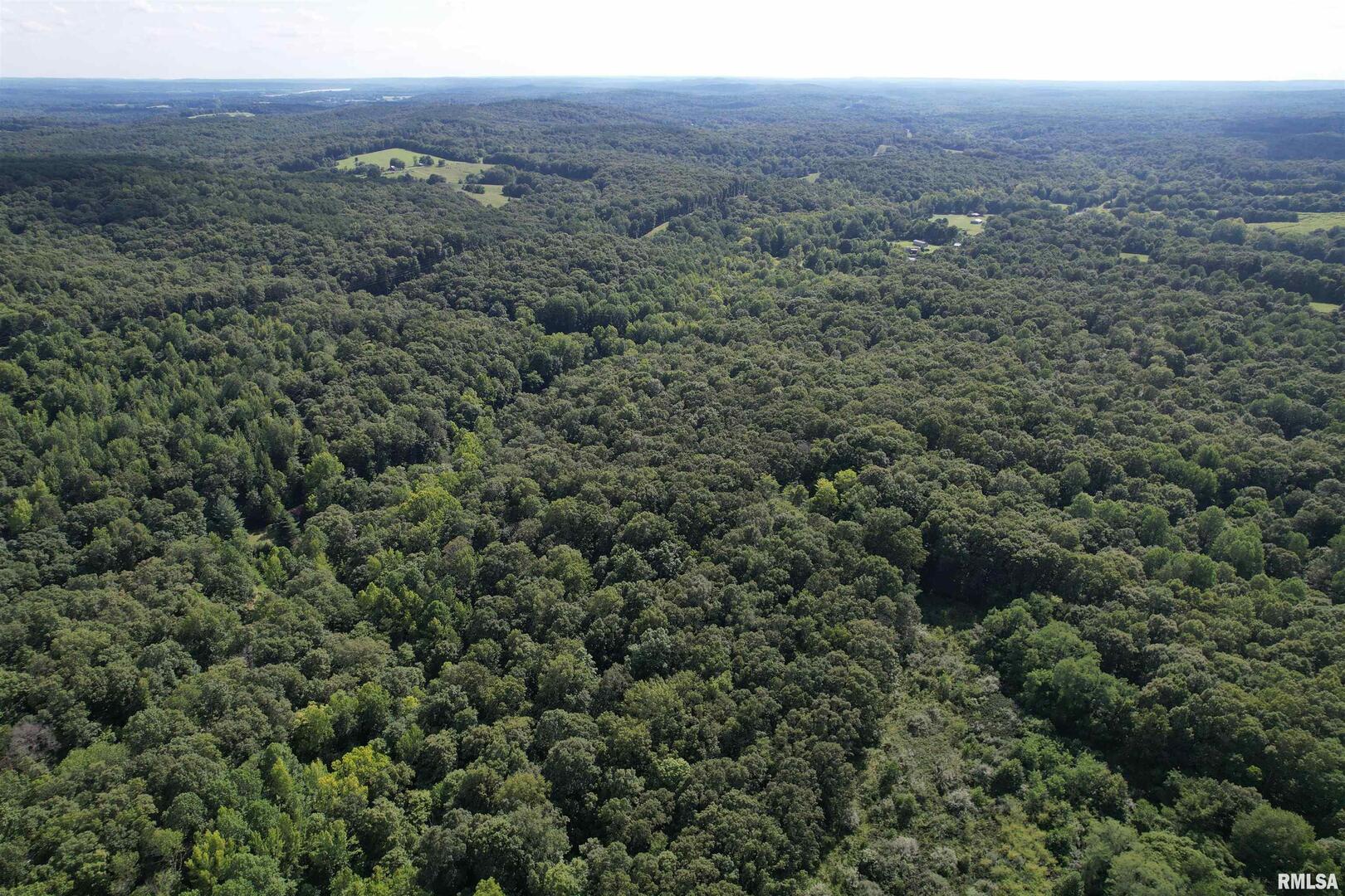 0 Shawnee Hollow Road Elizabethtown, IL 62931 - Photo 19 of 36 a view of a city with lush green forest