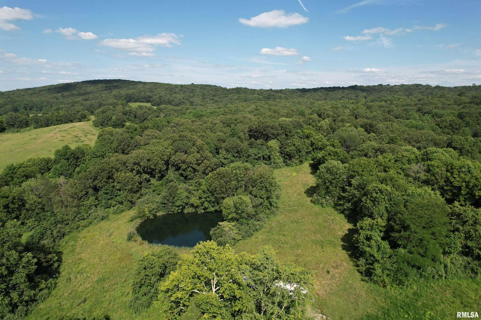 0 Shawnee Hollow Road Elizabethtown, IL 62931 - Photo 2 of 36 a view of a lake with a mountain in the background