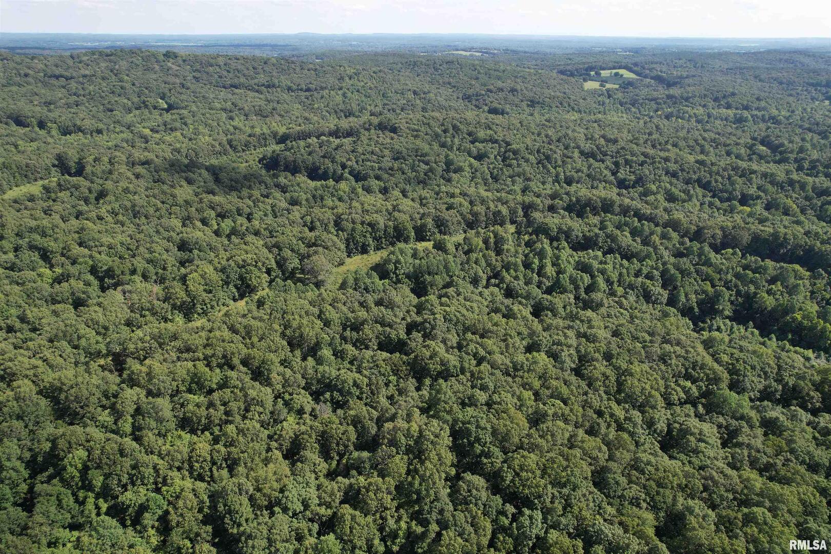 0 Shawnee Hollow Road Elizabethtown, IL 62931 - Photo 31 of 36 an aerial view of forest