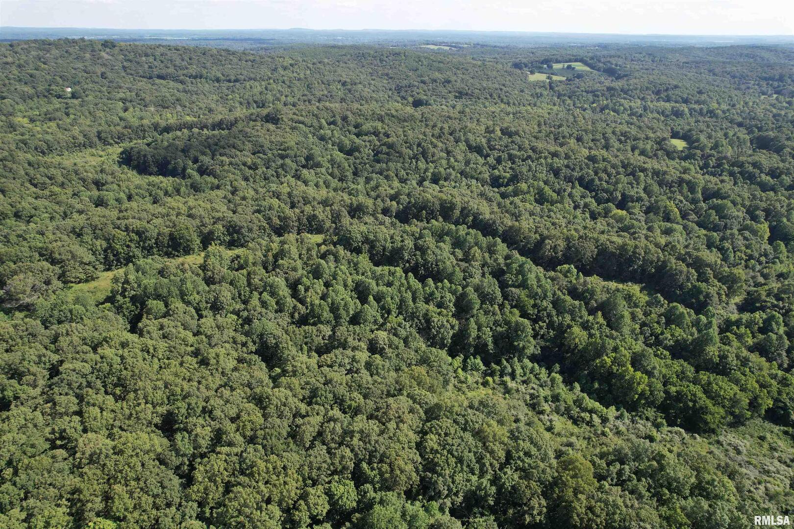 0 Shawnee Hollow Road Elizabethtown, IL 62931 - Photo 33 of 36 an aerial view of forest