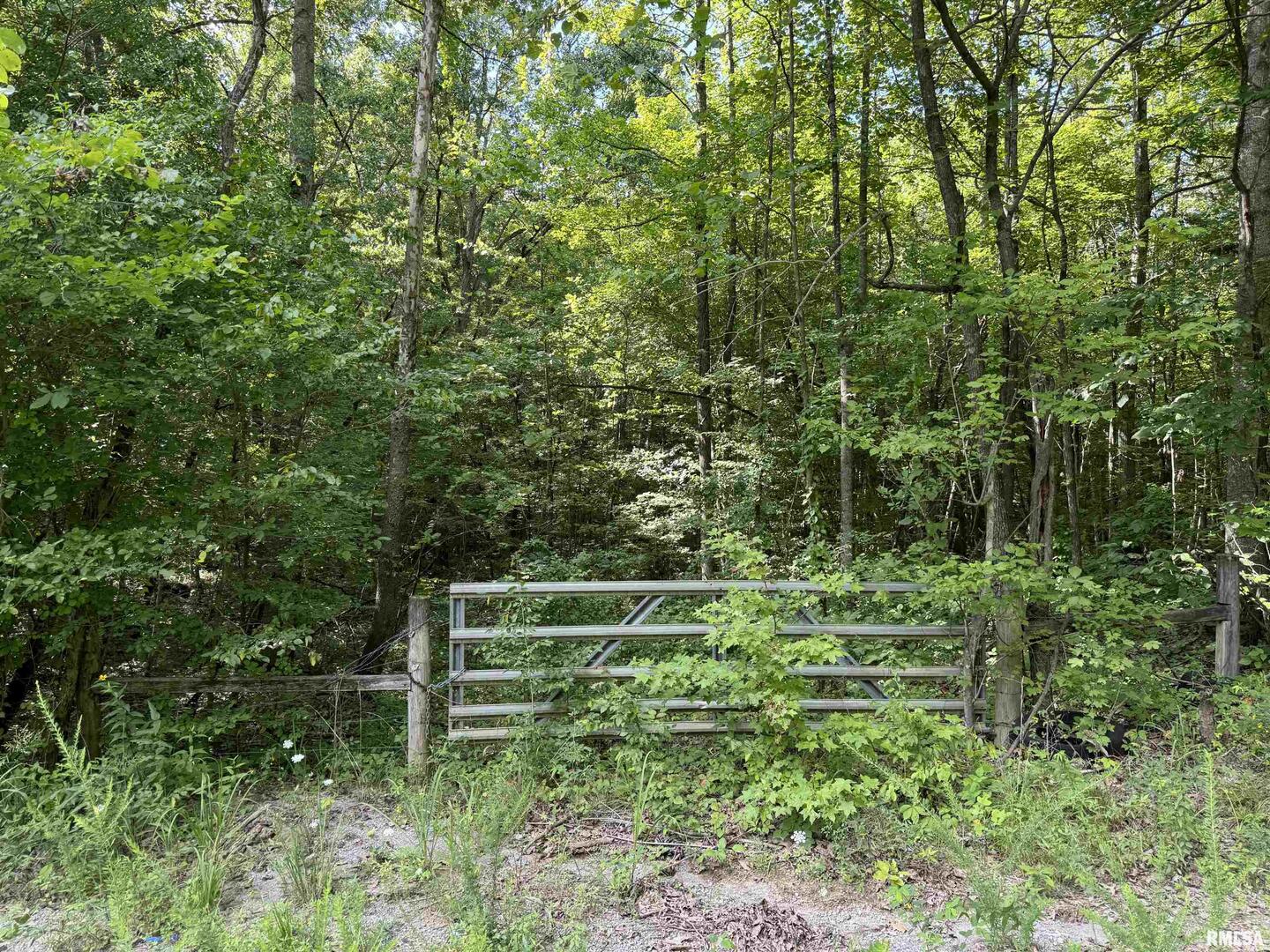0 Shawnee Hollow Road Elizabethtown, IL 62931 - Photo 35 of 36 a wooden fence with trees in the background