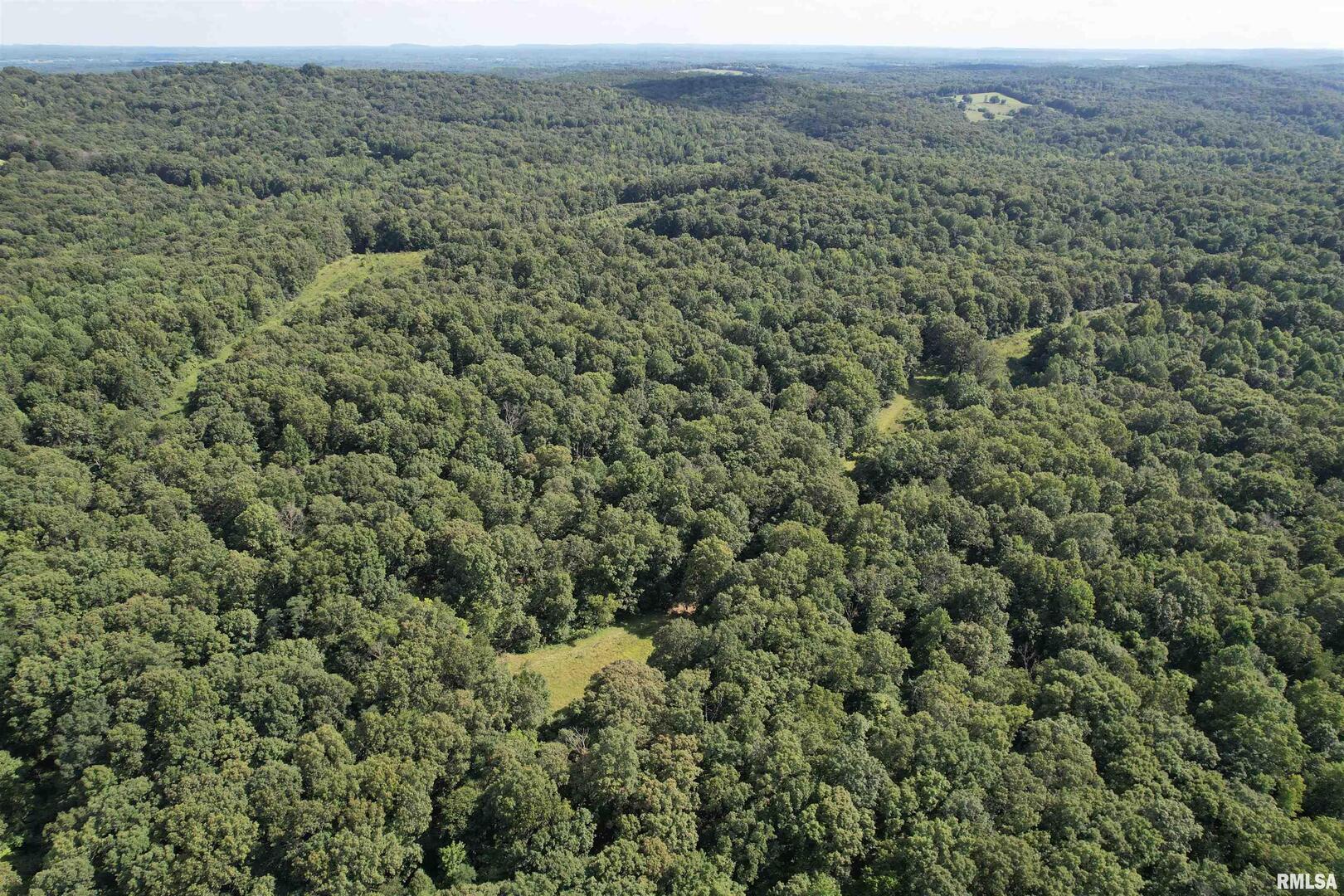 0 Shawnee Hollow Road Elizabethtown, IL 62931 - Photo 10 of 36 an aerial view of forest