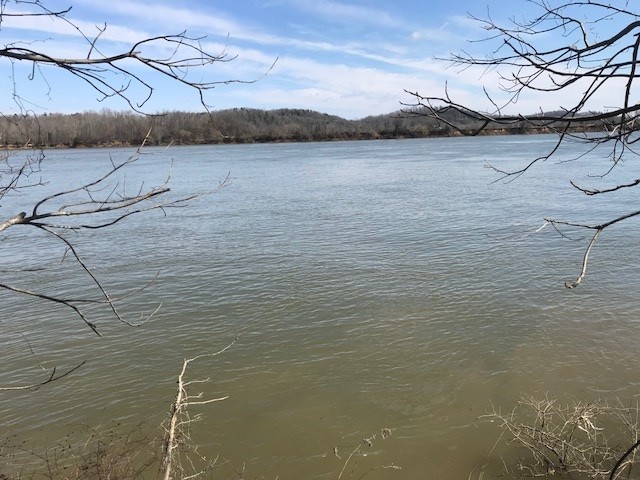 0 Nance Bend Road Clifton, TN 38425 - Photo 11 of 23