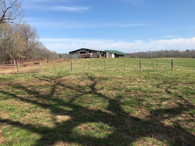 0 Nance Bend Road Clifton, TN 38425 - Photo 14 of 23