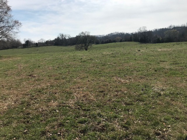0 Nance Bend Road Clifton, TN 38425 - Photo 18 of 23