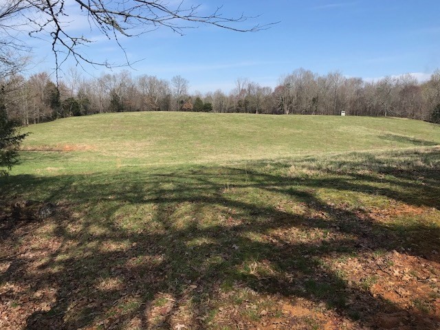 0 Nance Bend Road Clifton, TN 38425 - Photo 20 of 23