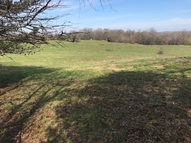 0 Nance Bend Road Clifton, TN 38425 - Photo 2 of 23