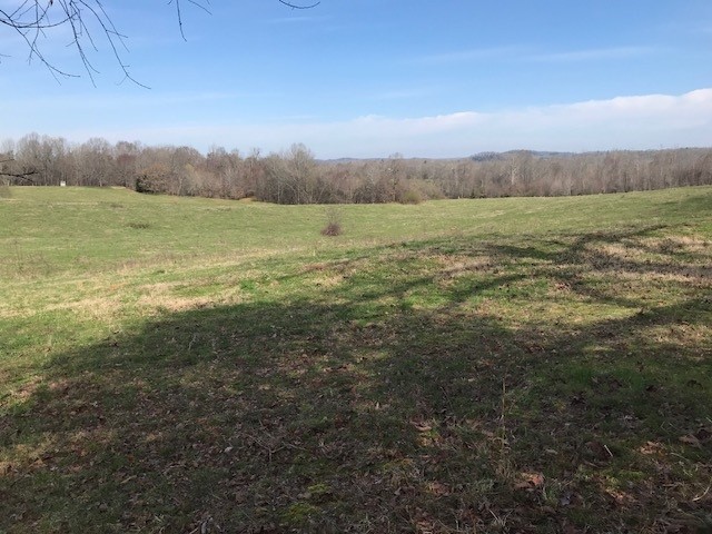 0 Nance Bend Road Clifton, TN 38425 - Photo 21 of 23