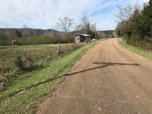 0 Nance Bend Road Clifton, TN 38425 - Photo 22 of 23