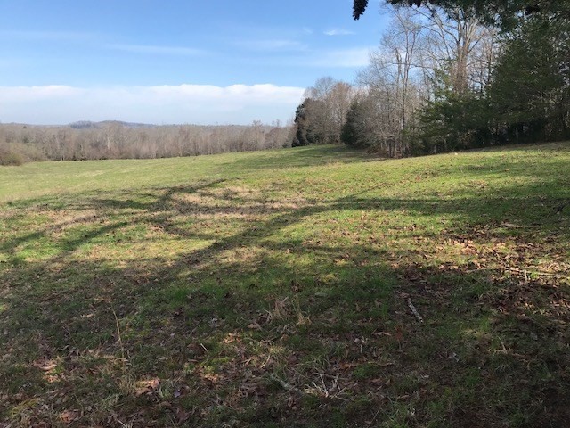 0 Nance Bend Road Clifton, TN 38425 - Photo 3 of 23