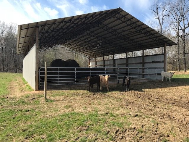 0 Nance Bend Road Clifton, TN 38425 - Photo 4 of 23