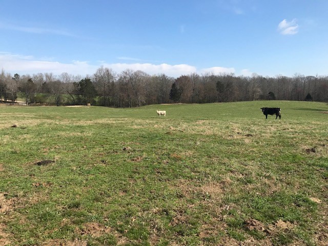 0 Nance Bend Road Clifton, TN 38425 - Photo 5 of 23