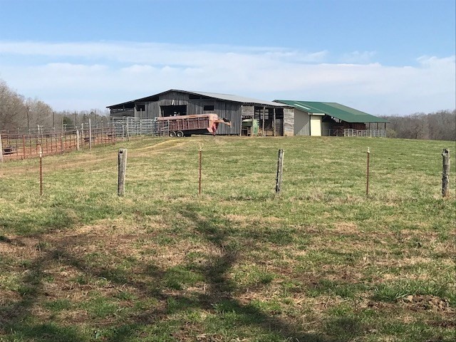 0 Nance Bend Road Clifton, TN 38425 - Photo 6 of 23