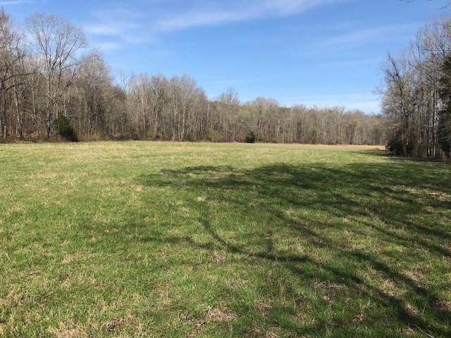 0 Nance Bend Road Clifton, TN 38425 - Photo 7 of 23
