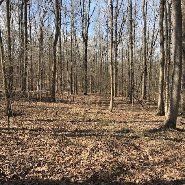 0 Nance Bend Road Clifton, TN 38425 - Photo 8 of 23