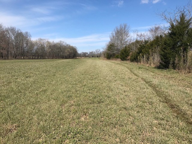0 Nance Bend Road Clifton, TN 38425 - Photo 10 of 23