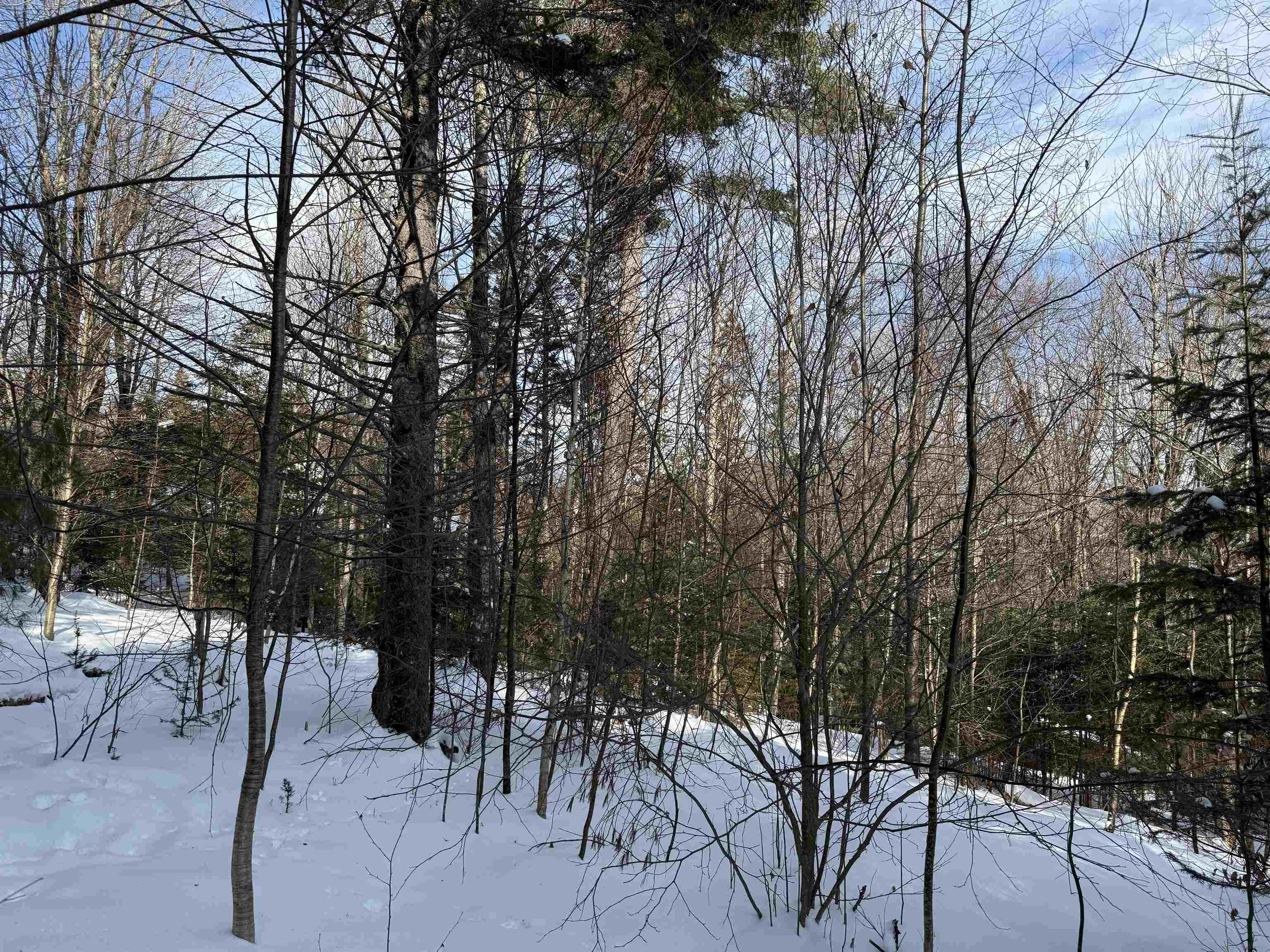 19 Stone Ridge Loop West Dover, VT 05356 - Photo 20 of 27
