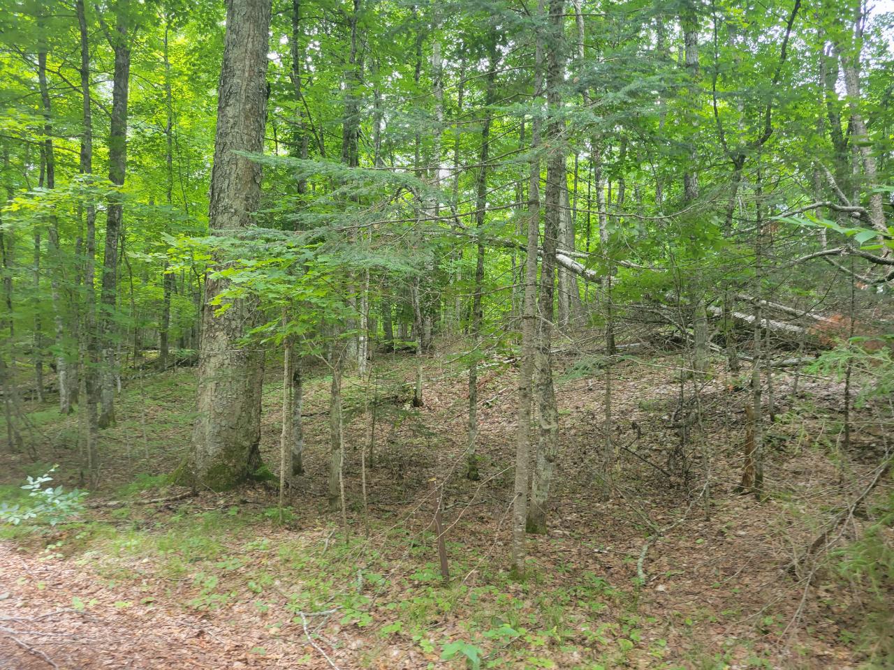 On Tall Timbers Road, Unit 1 5A Presque Isle, WI 54557 - Photo 1 of 2 Gallery Image 1