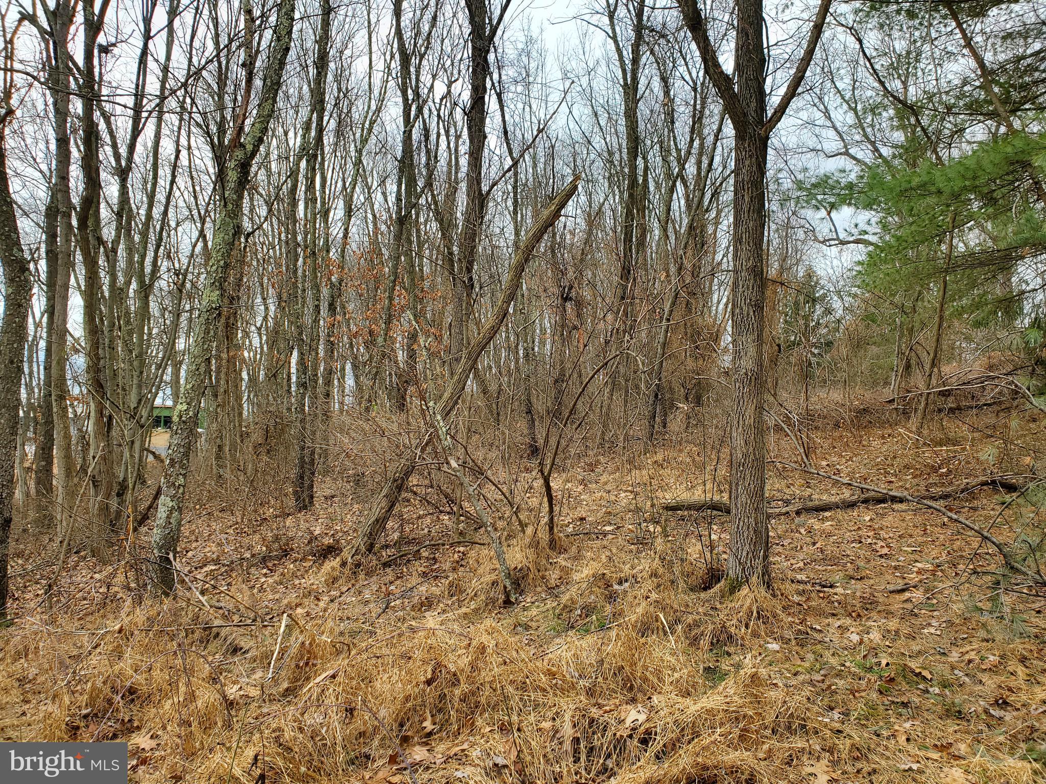 Mountain Road Augusta, WV 26704 - Photo 6 of 11 Property in January