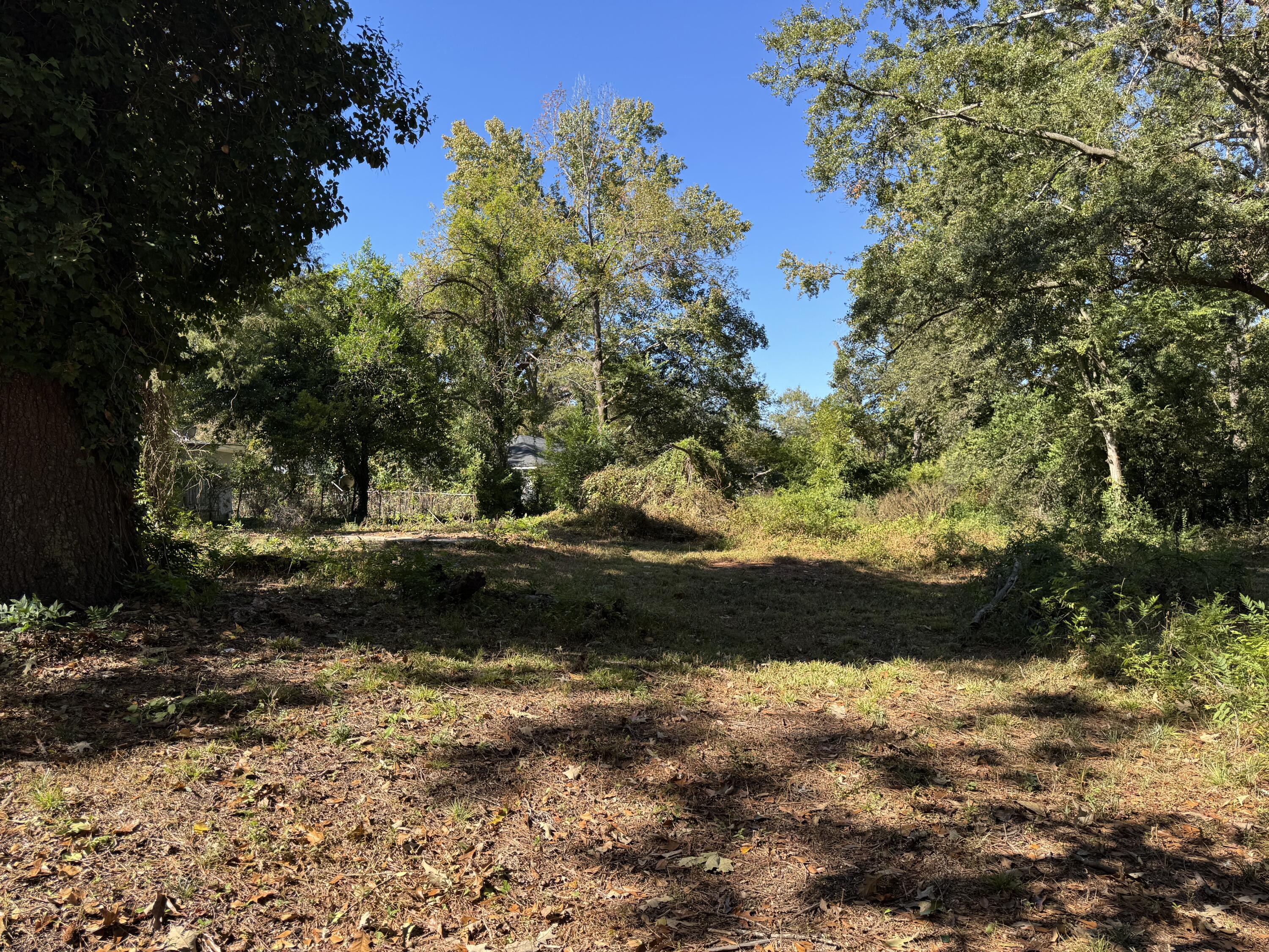 543 Basin Street Augusta, GA 30909 - Photo 3 of 8 IMG_6212