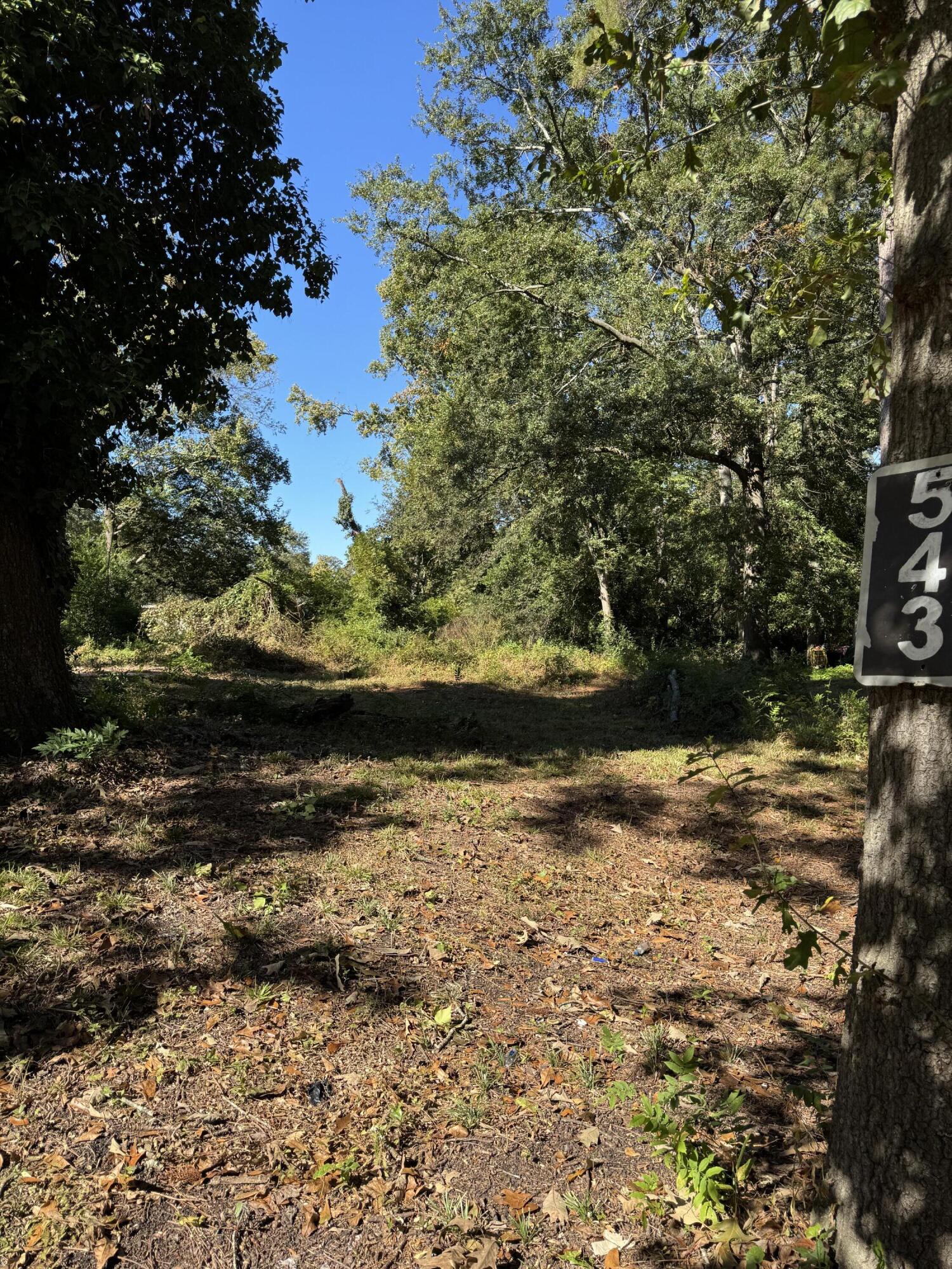 543 Basin Street Augusta, GA 30909 - Photo 4 of 8 IMG_6213