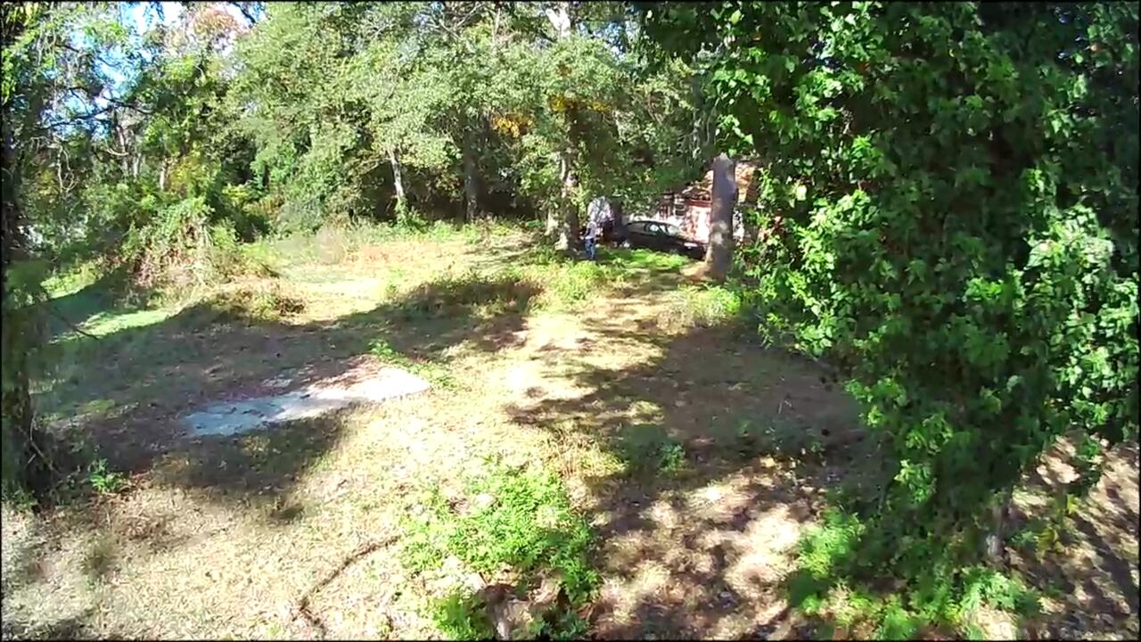 543 Basin Street Augusta, GA 30909 - Photo 5 of 8 IMG_6276