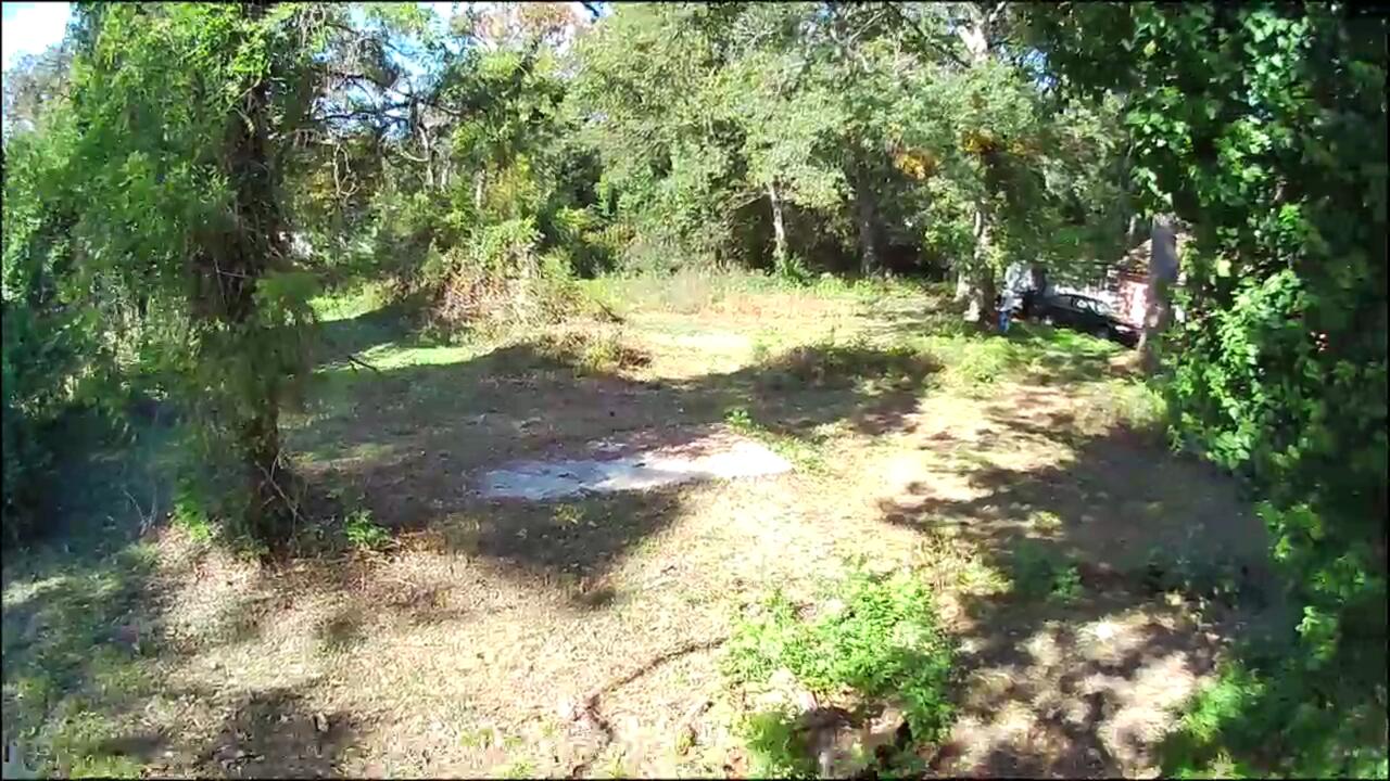 543 Basin Street Augusta, GA 30909 - Photo 6 of 8 IMG_6277