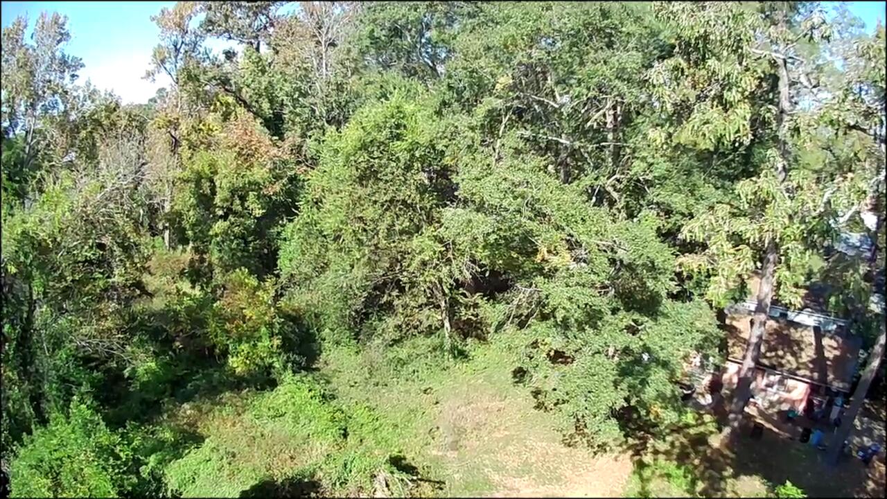 543 Basin Street Augusta, GA 30909 - Photo 7 of 8 IMG_6280