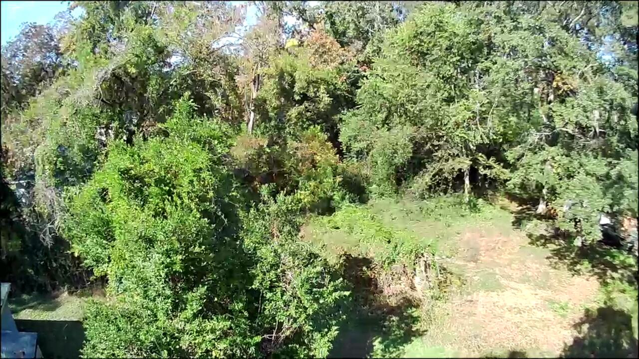 543 Basin Street Augusta, GA 30909 - Photo 8 of 8 IMG_6279