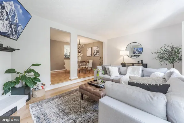 a living room with furniture a rug and a potted plant