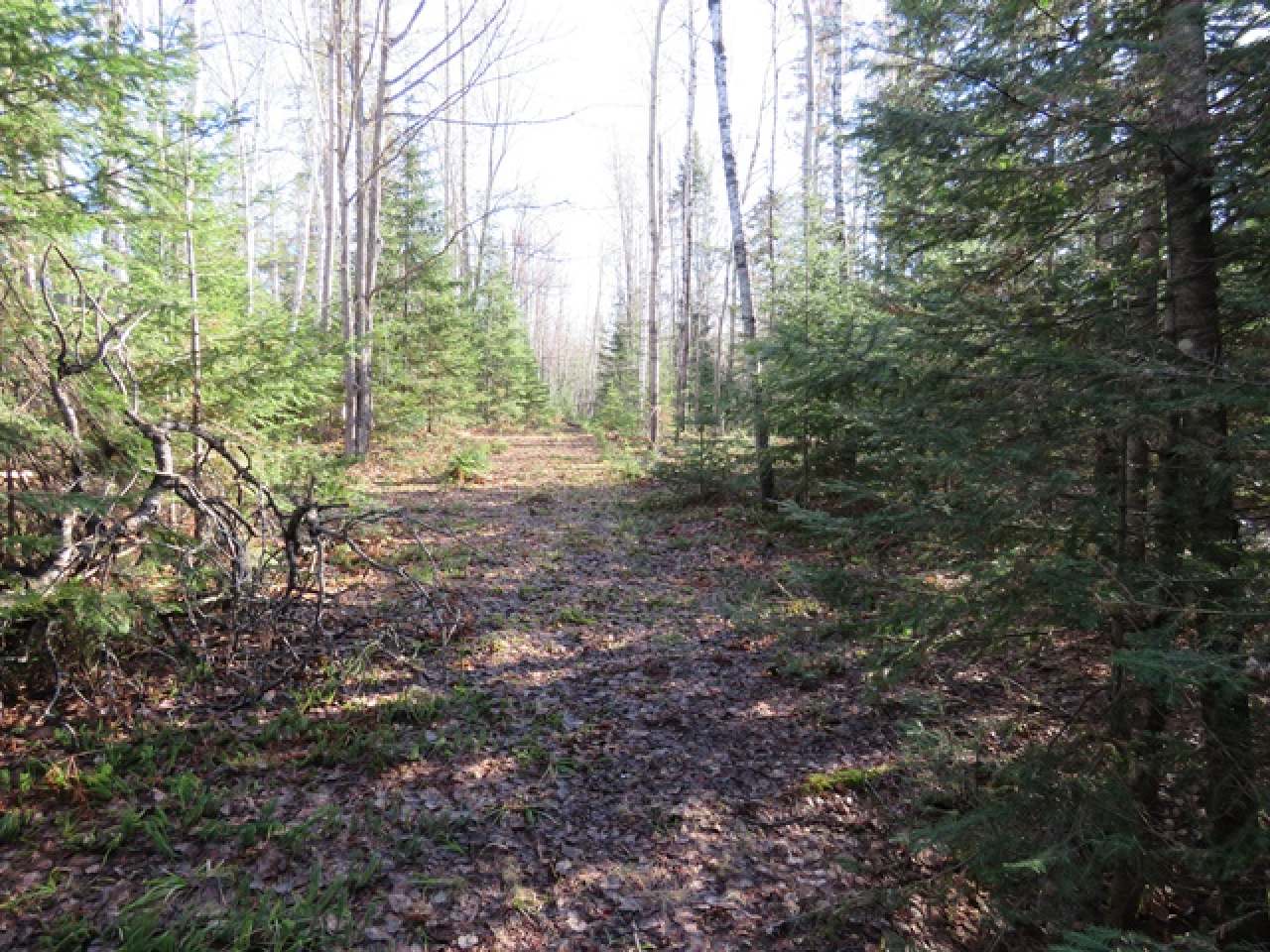 Near Murphy Lake Road Presque Isle, WI 54557 - Photo 14 of 19 Gallery Image 14