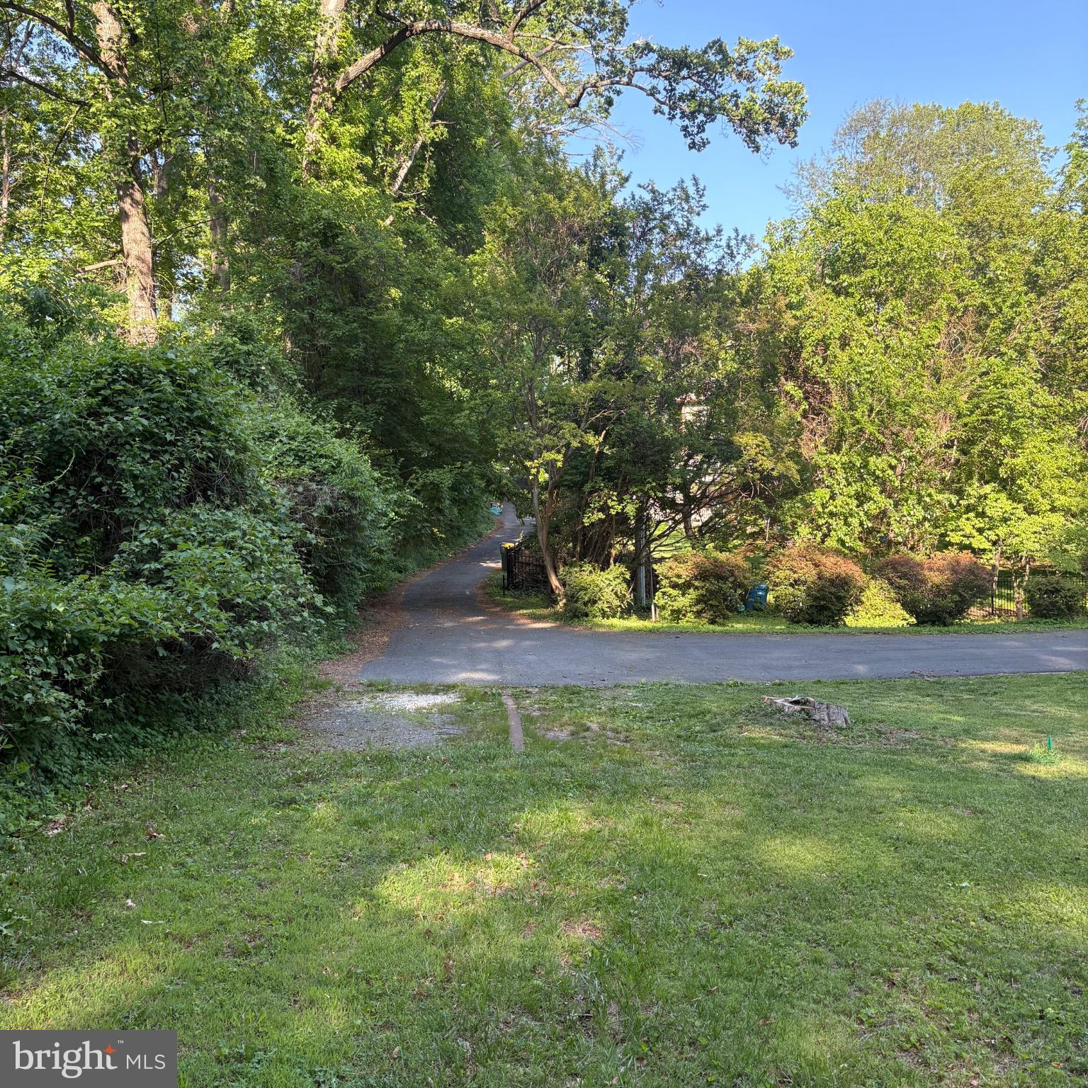 3502 Holly Road Annandale, VA 22003 - Photo 55 of 57 a view of yard with tree