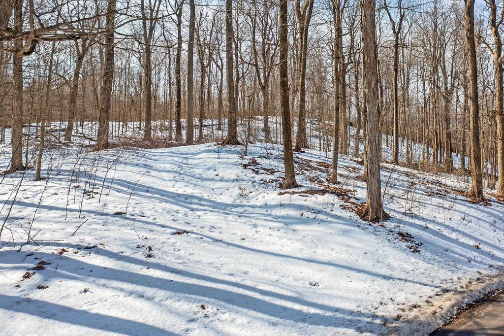 0 Eaglenest Road West Liberty, OH 43357 - Photo 27 of 45