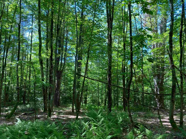 $225,000 | 18 Catamount Road, Pittsfield, NH 03263