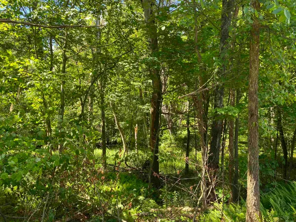 $225,000 | 18 Catamount Road, Pittsfield, NH 03263