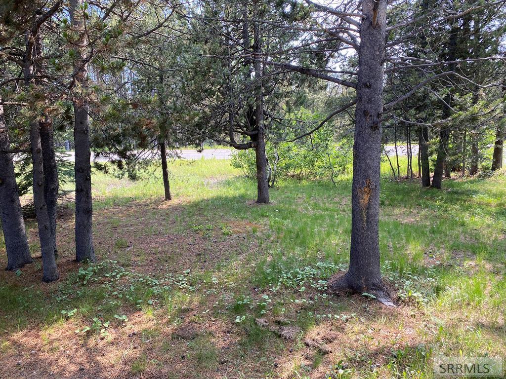 4175 South Big Springs Loop Road Island Park, ID 83429 - Photo 14 of 48