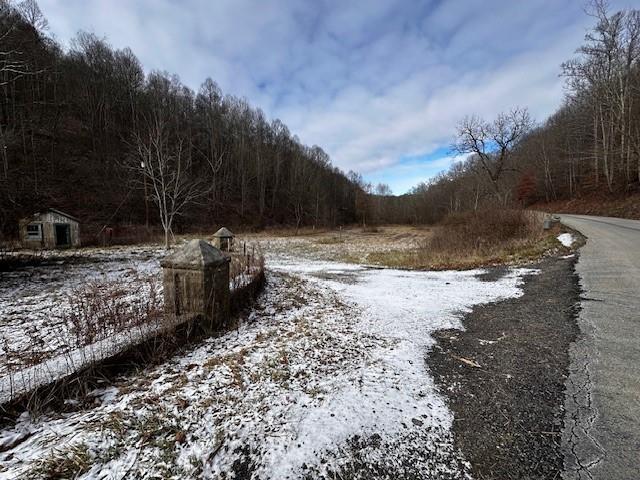 1031 Ned Ridge Road New Freeport, PA 15352 - Photo 3 of 6 a view of a yard with snow on the road