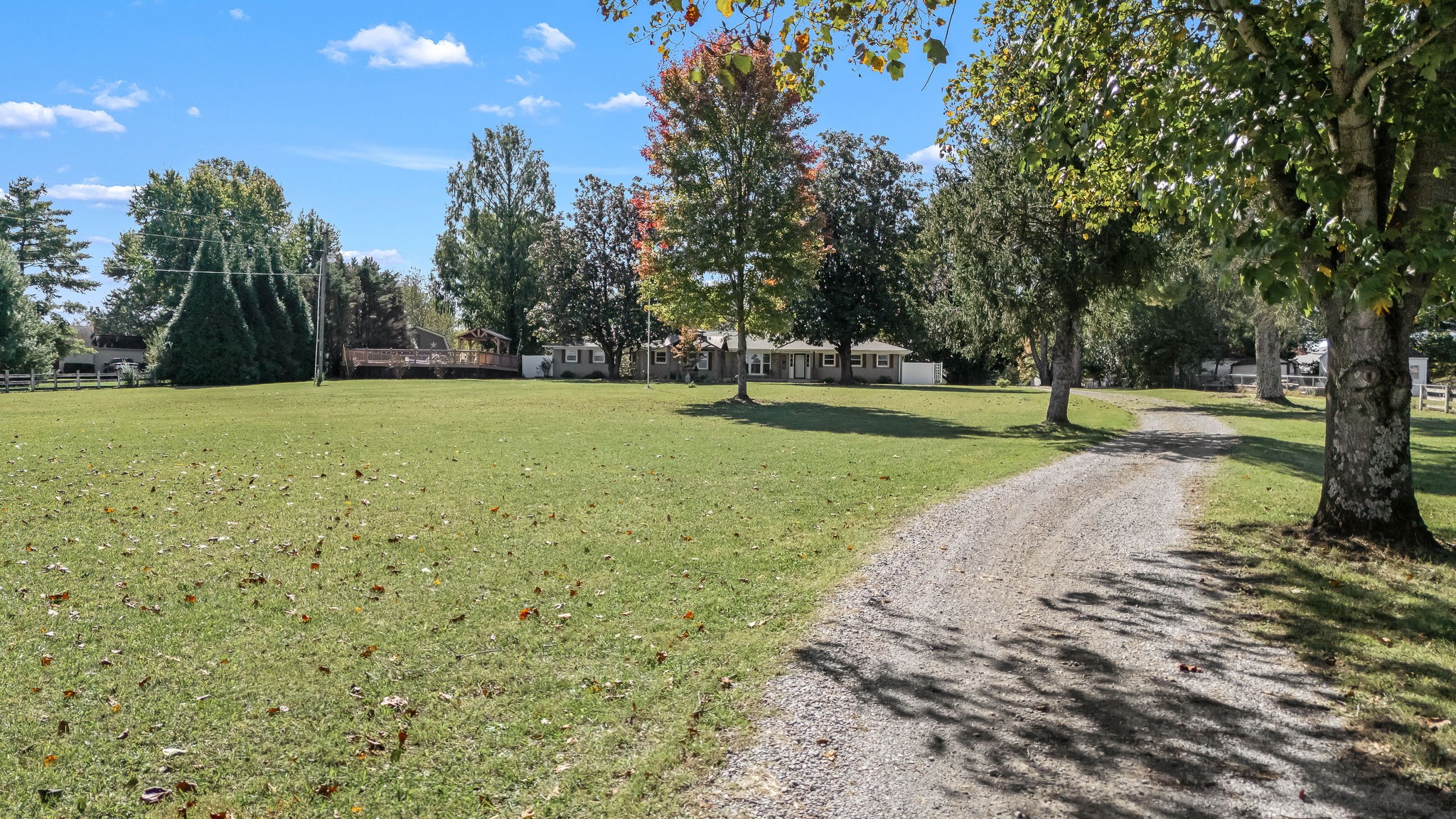 2329 Dilton Mankin Road Murfreesboro, TN 37127 - Photo 10 of 95 a view of outdoor space with trees all around